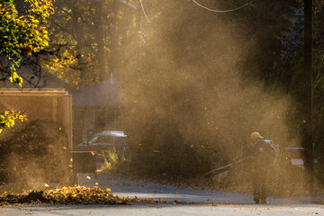 Boston, Massachusetts,USA A hired worker with a leaf blower in a residential neighbourhood cleans up autumn leaves.
