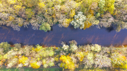 View from above on the autumnally leafy leaves of the flood plains near Hiltenfingen