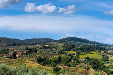 Hügelige Landschaft mit Zypresse und Olivenbäumen in der Toskana, Italien