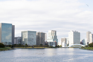 Naklejka premium 東京のビルと川