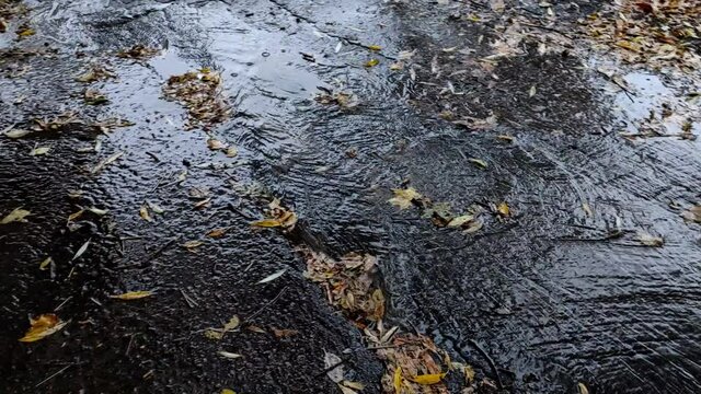 Rainwater in a puddle flows down through urban roads, pavements. Rain water flowing on the road with fallen leaves after the autumn rain. Raindrops on the asphalt, pavement.