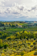 Fototapeta na wymiar Hügelige Landschaft mit Zypresse und Olivenbäumen in der Toskana, Italien
