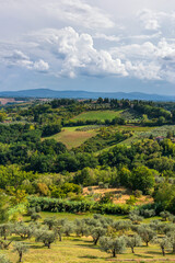 Hügelige Landschaft mit Zypresse und Olivenbäumen in der Toskana, Italien