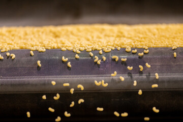 Pasta manufacturing automatic conveyor, drying and bagging for sale
