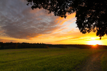 Fototapeta premium West Berkshire fields