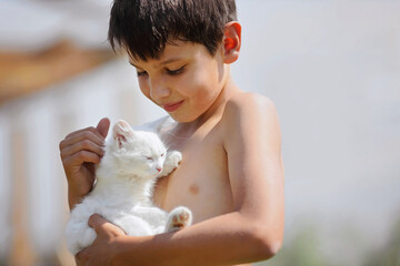 A child with a white kitten. A boy holds a fluffy pet in his arms.