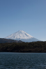 Fototapeta na wymiar 西湖からの富士山