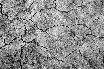 Dry cracked soil pattern. black and white style