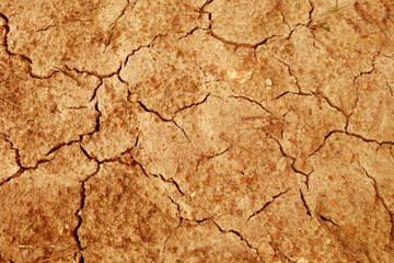 Dry cracked soil pattern.