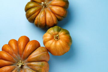 Small pumpkins on blue pastel background top view