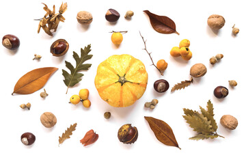 Autumn creative composition made of pumpkins, dried leaves, chestnuts and acorns on white background - obrazy, fototapety, plakaty