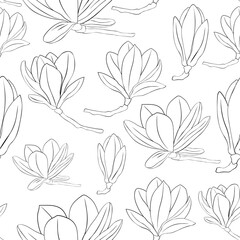 Seamless pattern Magnolia flowers black and white colors graphics vector illustration