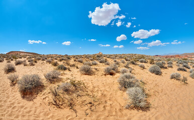 Fototapeta na wymiar Panoramic view of a desert, Nevada, US.