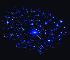 beautiful polygonal blue flower, vector graphics