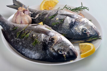 Dorado fish stuffed with lemon slices and green rosemary for cooking