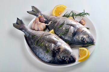 Dorado fish stuffed with lemon slices and green rosemary for cooking