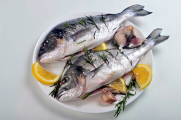 Dorado fish stuffed with lemon slices and green rosemary for cooking