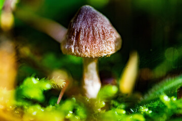 Wanderung Langental Tieringen