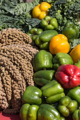A variety of farm produce is on display on the table