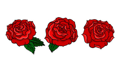 Decorative Blown Red Roses with Petal and Leaves Vector Set.