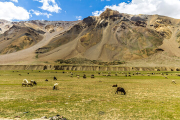 Various views of the Manali Leh Highway