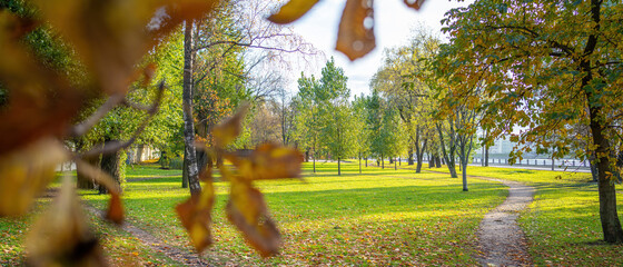 Autumn park with trees paths and fallen leaves