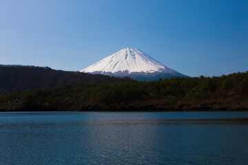 西湖から見た富士山