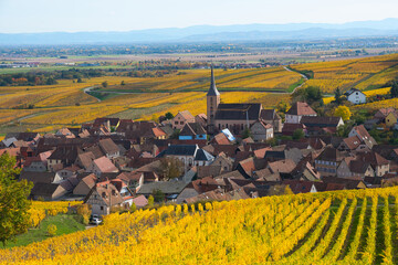 Weinberge oberhalb von Blienschwiller im Elsass im Herbst