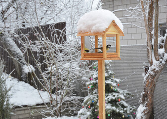 Naklejka premium Feeding blue tits with sunflower seeds from a wooden chalet style open sided wild bird platform feeder in the backyard of a house in snowy and frosty winter.