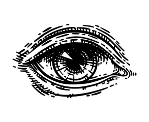 Hand drawn female eye in vintage engraving style