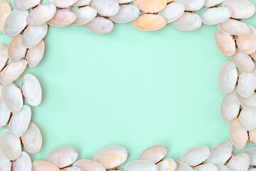 Obraz na płótnie Canvas White and soft pink shells. Summer design background with natural beautiful seashells.