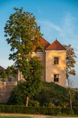 Fototapeta na wymiar Widok na zamek w Podzamczu chęcińskim 