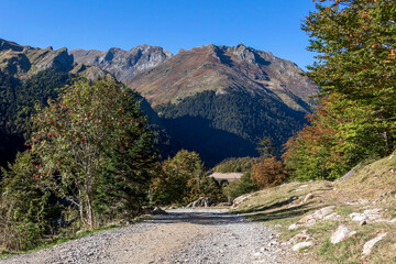 Hiking trail in mountain landscape with green forest, the Ossau Valley in the French Pyrenees, Europe