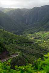 Fototapeta premium Moaula Falls at Halawa Valley Molokai portrait