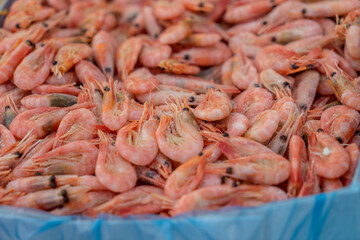 Sea prawns are in a large plate. The concept of food from a sea of products.