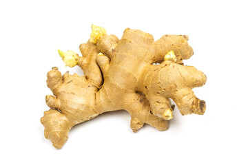 Fresh ginger rhizome isolated on white background.