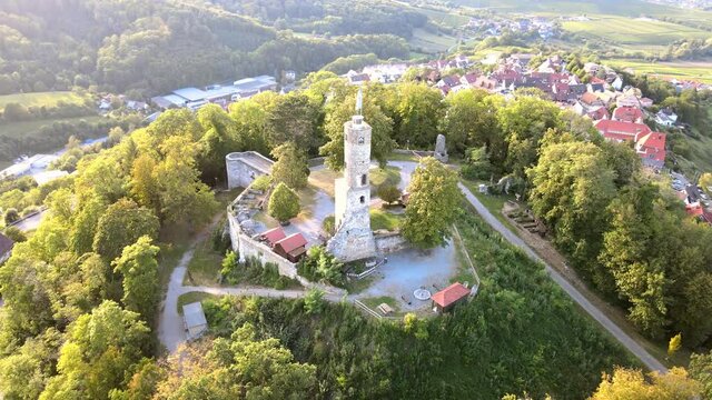 Burg L&ouml;wenstein Burgruine im Weinberg bei Heilbronn 
