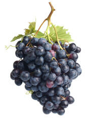 Bunch of grapes on a white background