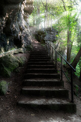 Obraz premium The afternoon sun shines brightly on a stairway on the side of a cliff in a forest, leading to the top of the Elora Gorge in Ontario.