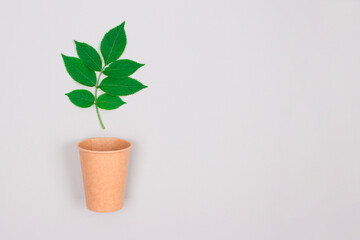 Mockup image of eco-friendly coffee to go cup - kraft paper cup with green leaves above on light grey background with copyspace. Recycled kraft paper packaging or zero waste concept