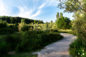 Fototapeta na wymiar A walking path winds its way through lush green nature in the late afternoon on a bright and sunny summer day at the Don Valley (Evergreen) Brickworks in Toronto (Scarborough), Ontario.