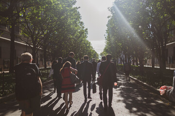 Obraz premium University, Architecture, People Walking 