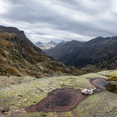 France, Pyrenees-Atlantiques, Laruns, Scenic view Ossau Valley in summer