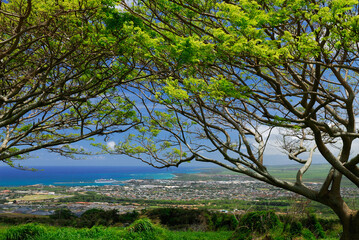 Cruise ship in Kahului Harbour from Wailuku Heights Maui