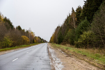 autumn landscape with a road receding into the distance against a background of yellow trees