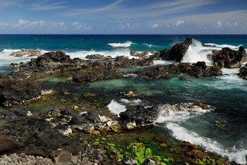 Fototapeta na wymiar Blue wave and lava rock tide pools at Hookipa Beach Maui