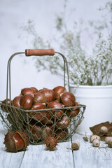 Raw chestnuts on a wooden background in an iron basket. Rustic style