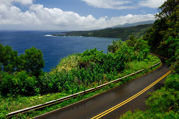 Wet road to Hana in Maui at Kaumahina State Wayside Park Hawaii