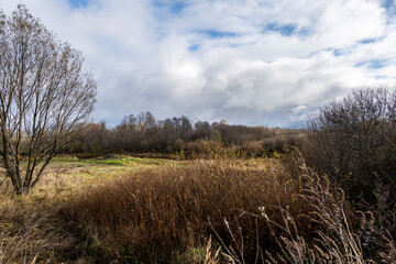 autumn landscapes with yellowed foliage on trees