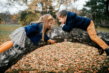 A couple of children on the tree